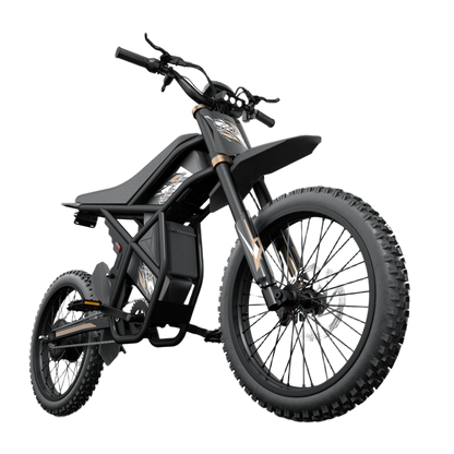 Riding'times GT73 Pro – 3000W Dual-Battery Electric Dirt Bike