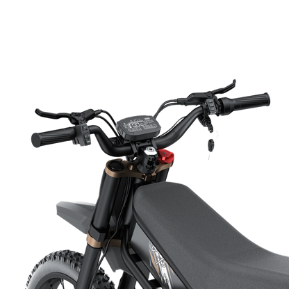 Riding'times GT73 Pro – 3000W Dual-Battery Electric Dirt Bike