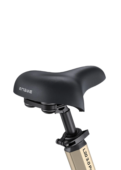 E-Bike ENGWE L20 3.0 Pro