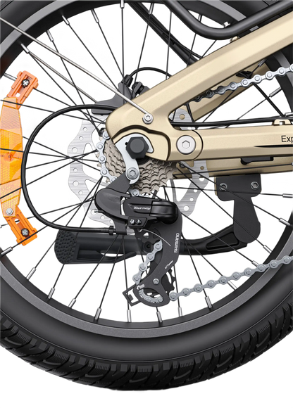 E-Bike ENGWE L20 3.0 Pro