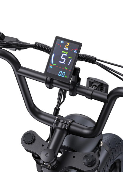 E-Bike ENGWE M1