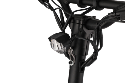 Electric scooter KAABO MANTIS KING GT BLACK