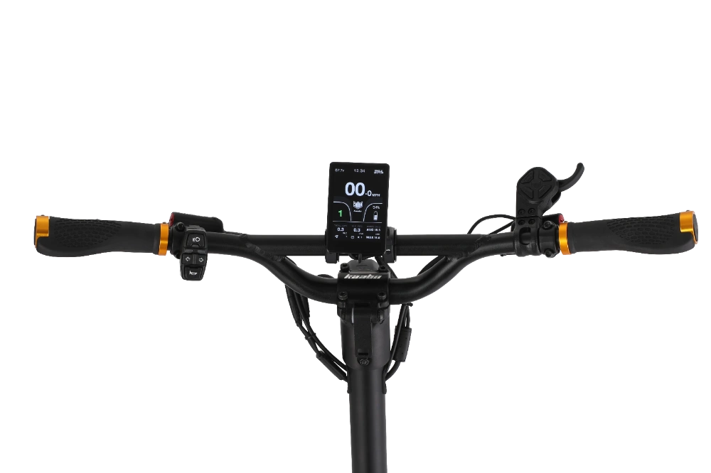 Elektritõukeratas Kaabo Wolf King GTR MAX