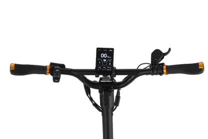 Elektritõukeratas Kaabo Wolf King GTR MAX