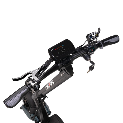 Electric scooter NANROBOT D6+