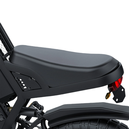 E-Motorbike COSWHEEL GT20 MAX