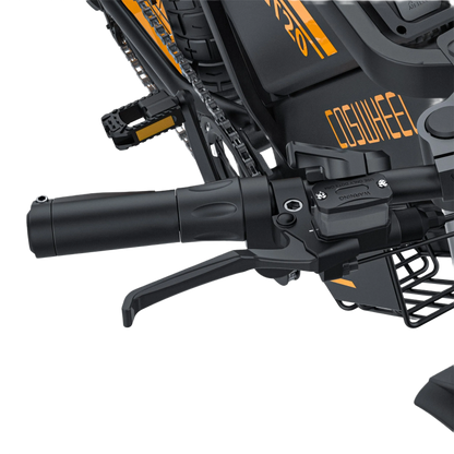 E-Motorbike COSWHEEL GT20 MAX