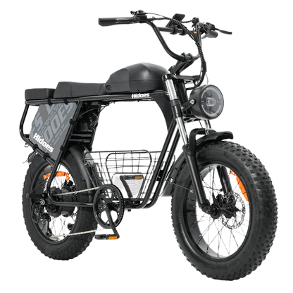 Hidoes B9 750W elektrijalgratas kahe eemaldatava 48V akuga, 20-tolliste Fat Tire rehvide ja pika sadulaga