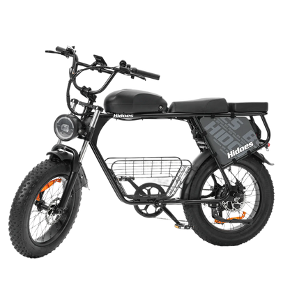 Hidoes B9 750W elektrijalgratas kahe eemaldatava 48V akuga, 20-tolliste Fat Tire rehvide ja pika sadulaga