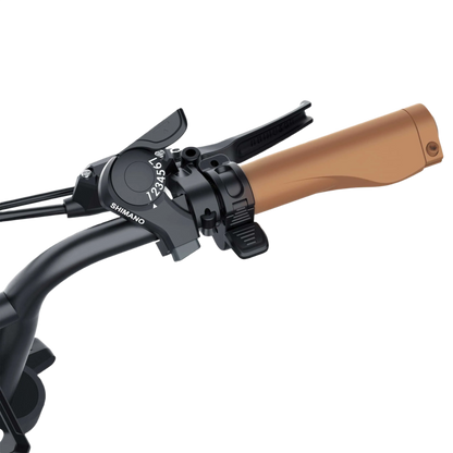 E-Motorbike COSWHEEL CT20